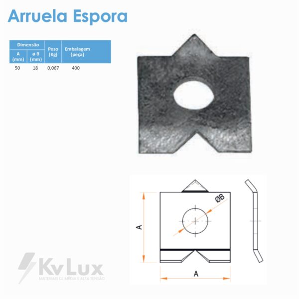 Arruela Espora